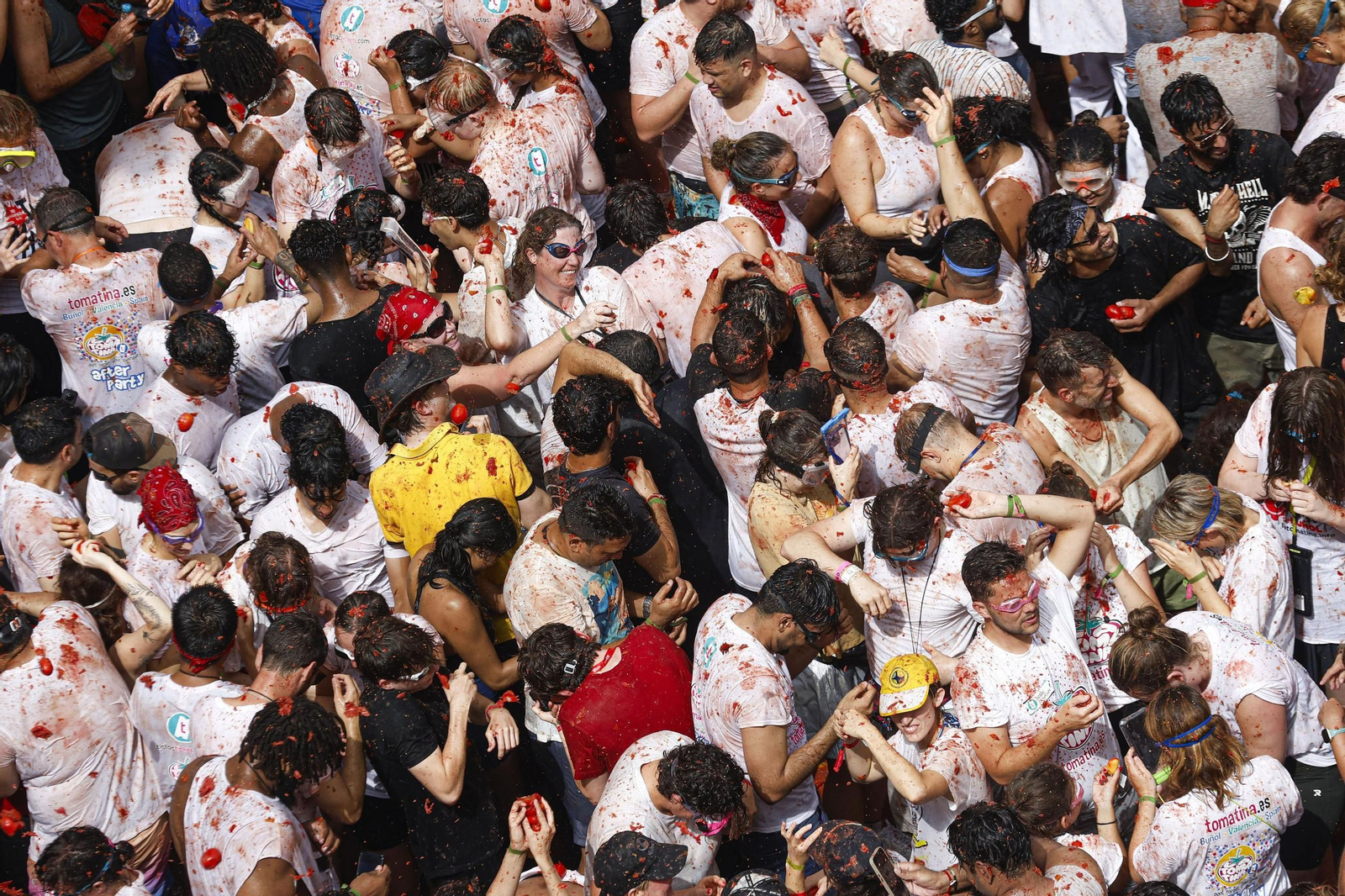 Las mejores fotos de la Tomatina de Buñuel 2025