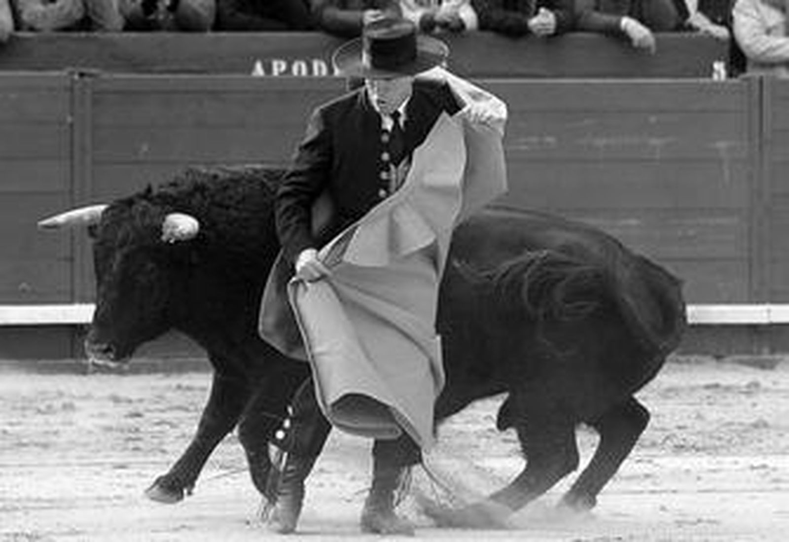 El diestro José Cantero toreando con el capote al primer toro de su lote.