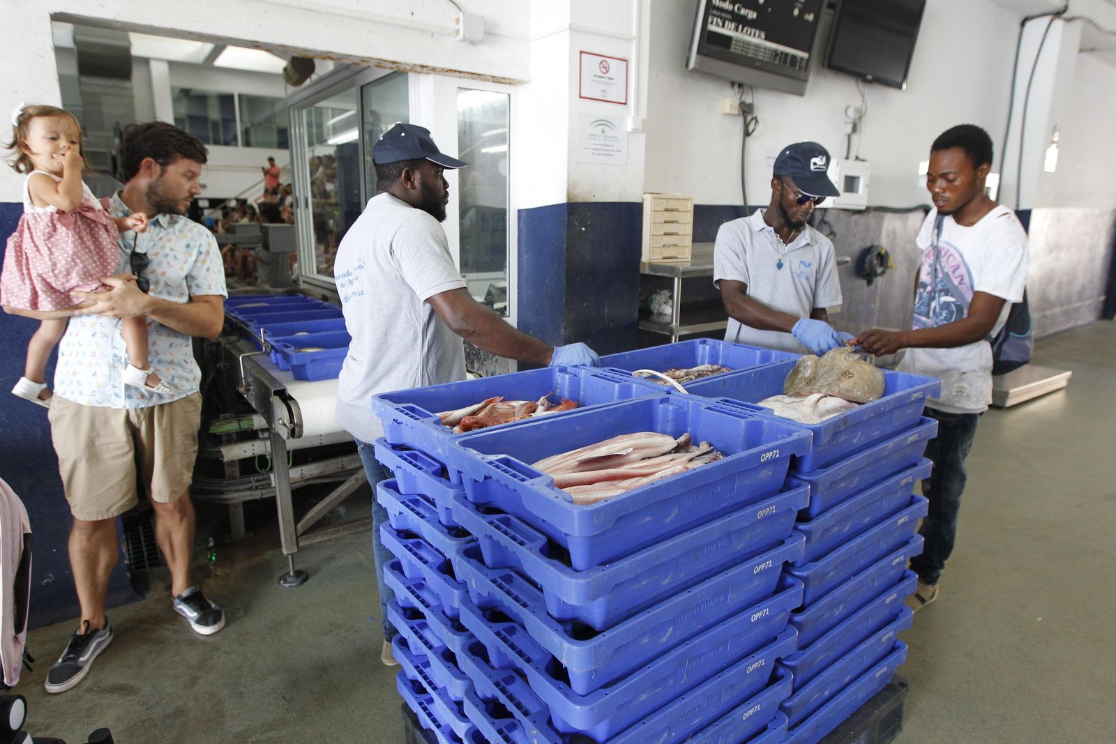 Fotogalería Jornada Puertas Abiertas Puerto Pesquero Almería