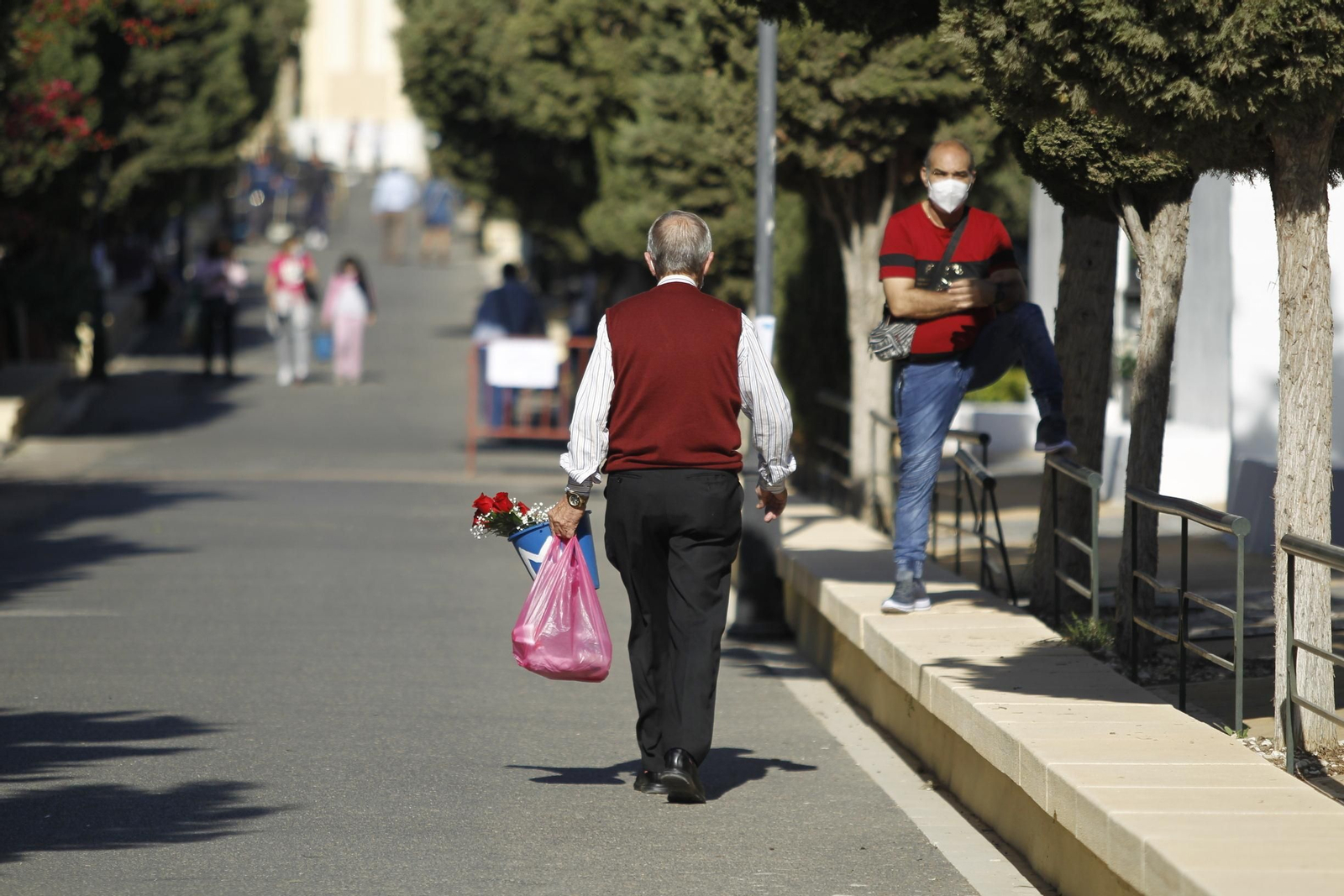 Fotogalería Día de Todos los Santos. Cementerio de San José. Almería
