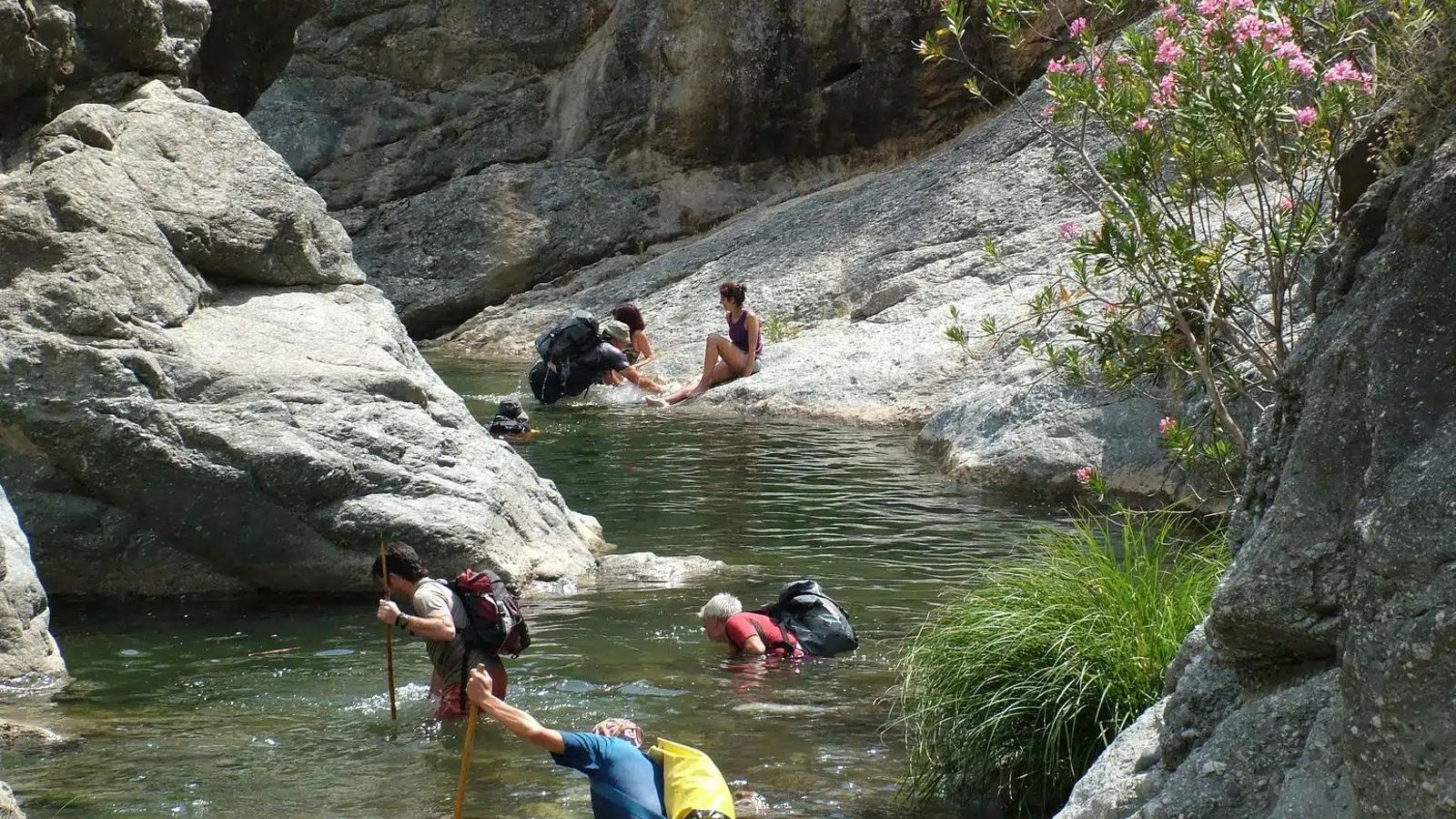 Bañistas en el charco. Bañistas en el charco.