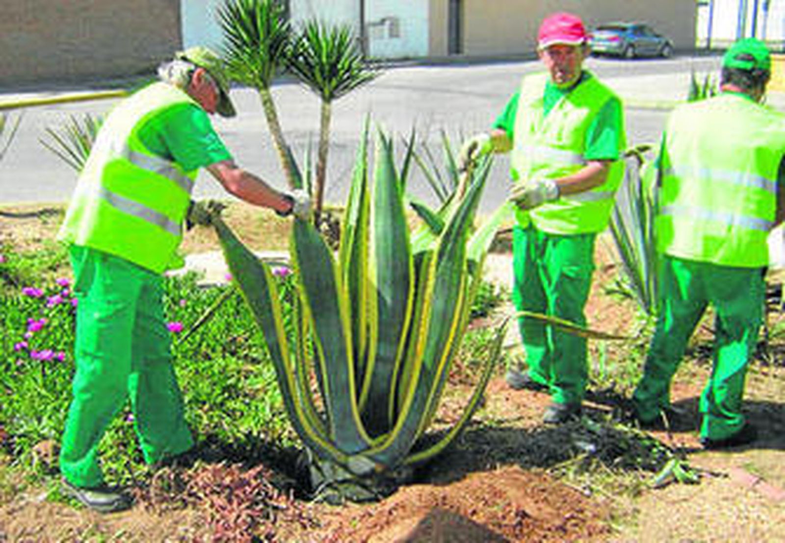 La creación de nuevos empleos es un hecho palpable en Umbrete.