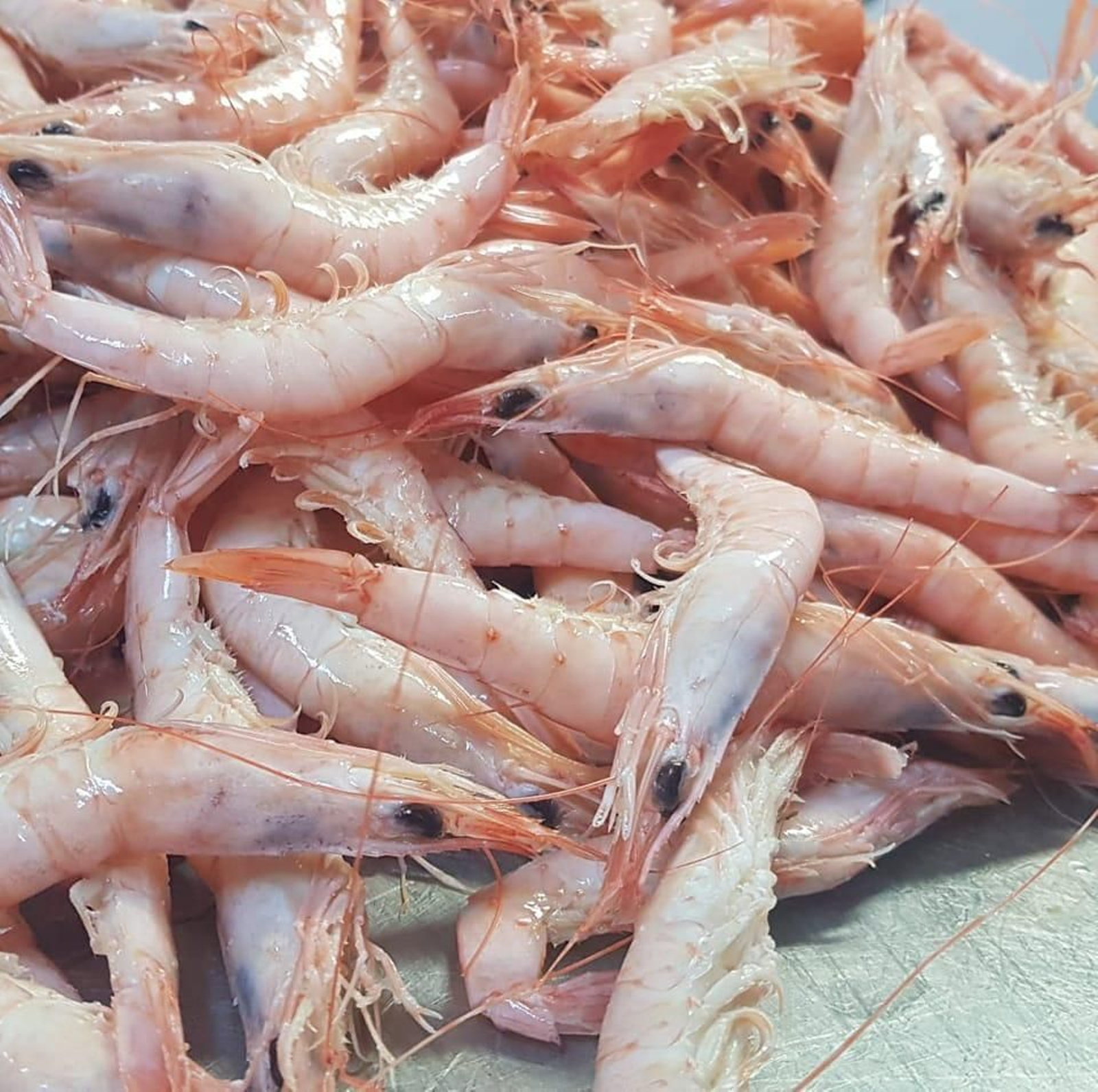 Gamba blanca: los mejores restaurantes y marisquerías de Huelva para comerlas | Er Chiclanero