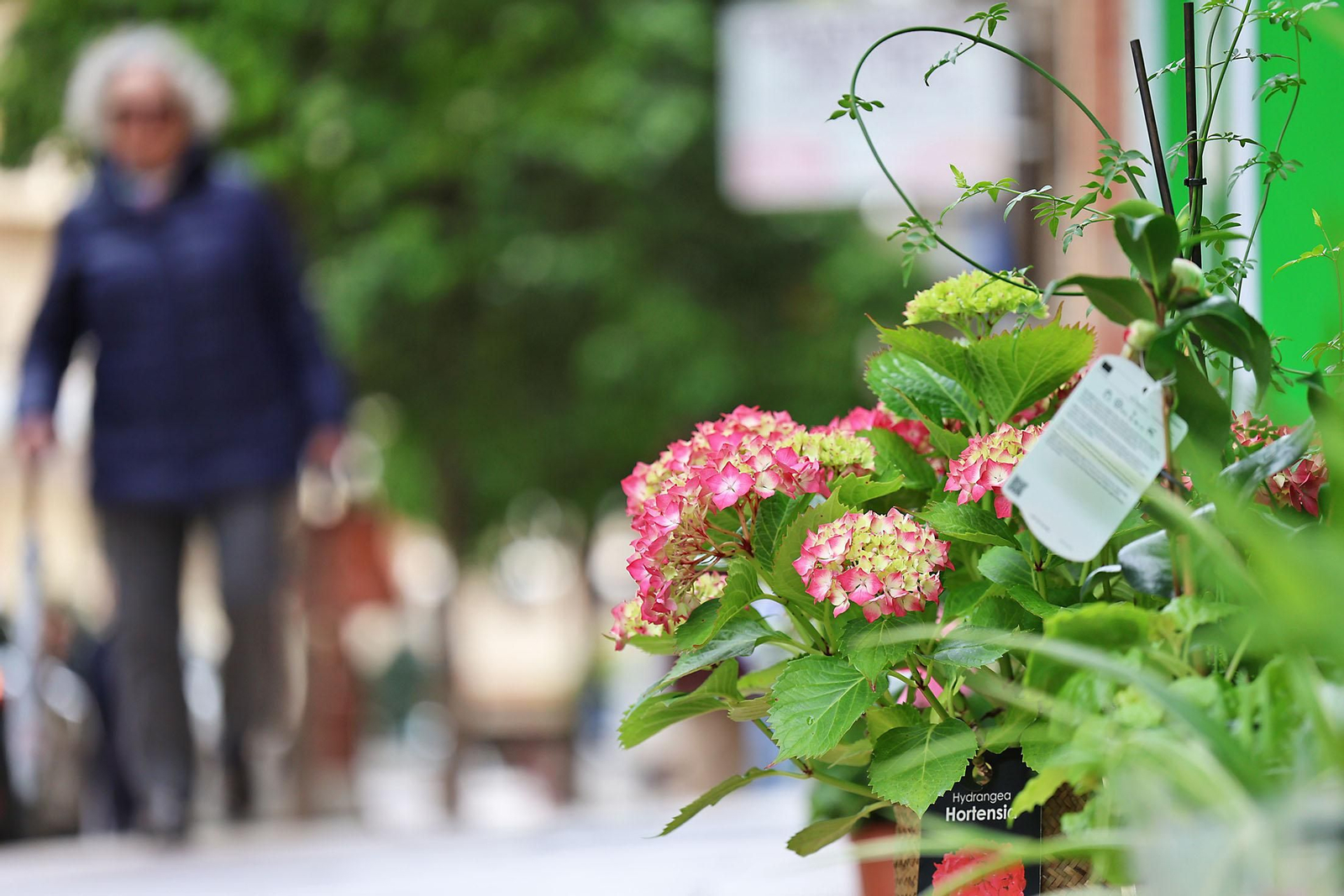 Las imágenes más destacadas del sábado 22 de marzo en Huelva