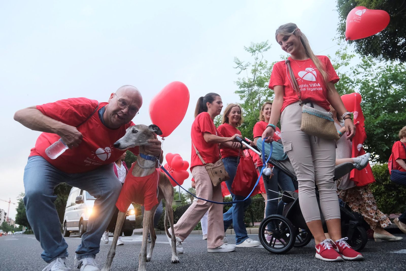 La marcha por la donación tiñe de rojo las calles de Córdoba, en imágenes