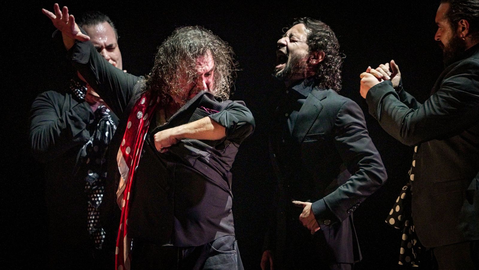 Imágenes de 'Raíces del Alma' de Manuela Carpio, 30 Festival de Jerez