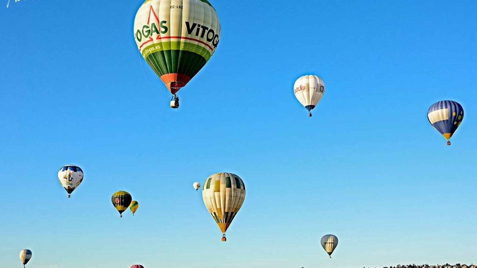 Globos aerostáticos surcan el cielo.