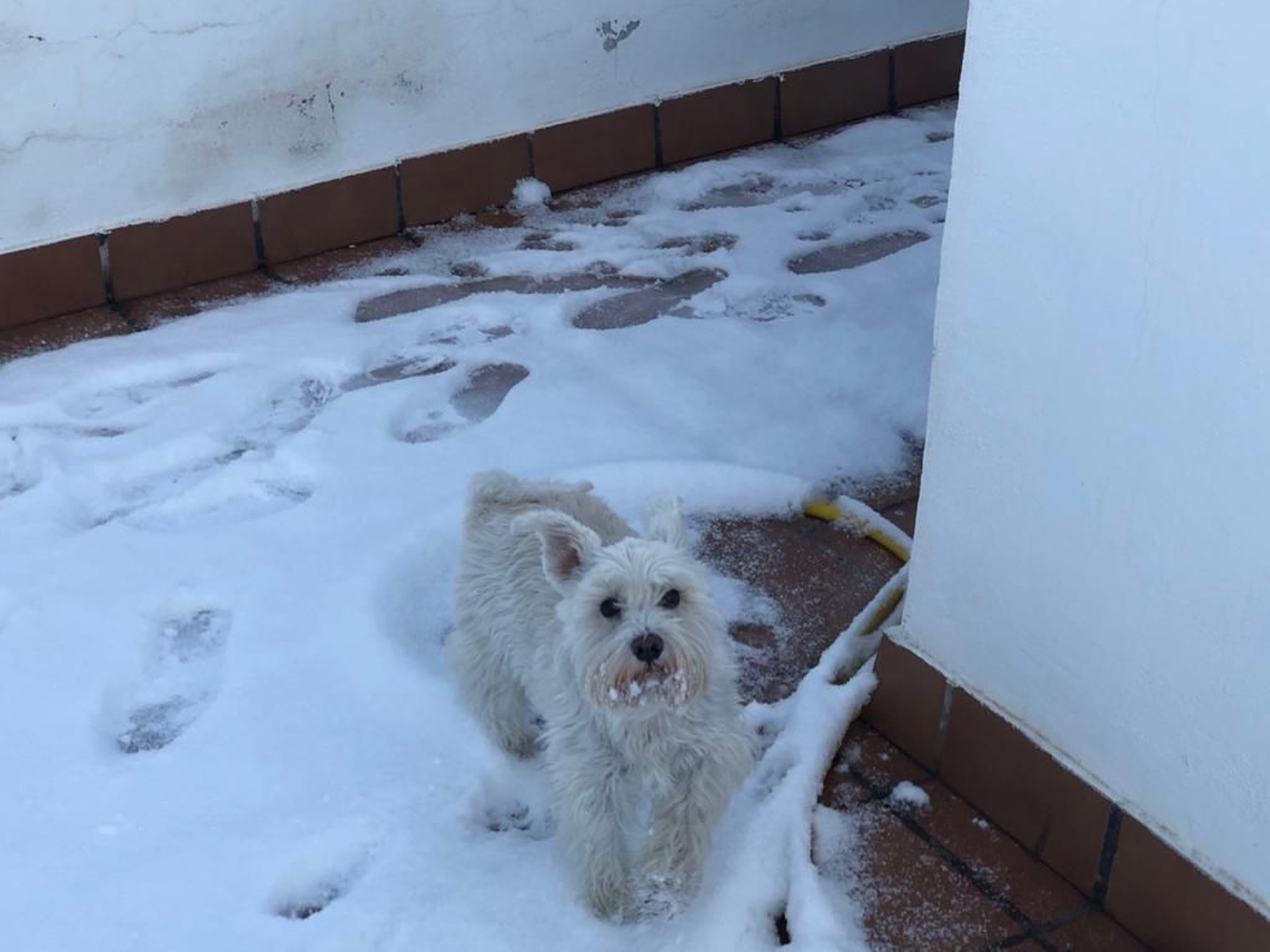 Fotos de la nieve en Víznar