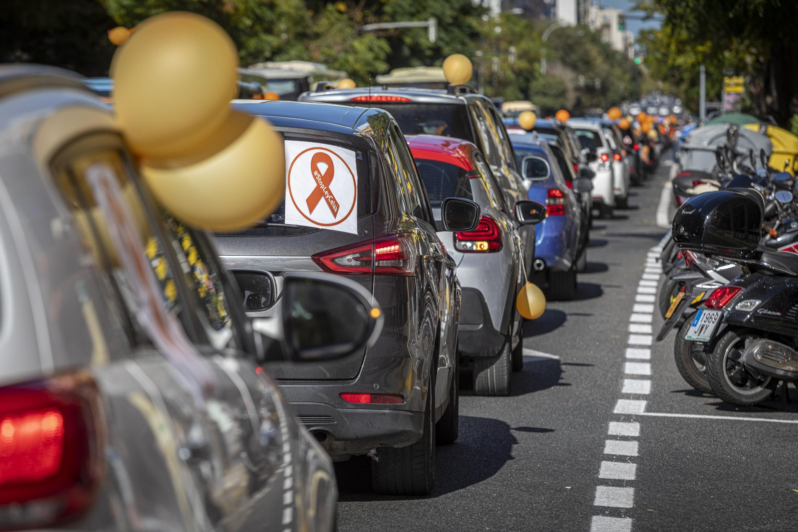 Imágenes de la caravana de coches en Cádiz contra la Ley Celaá