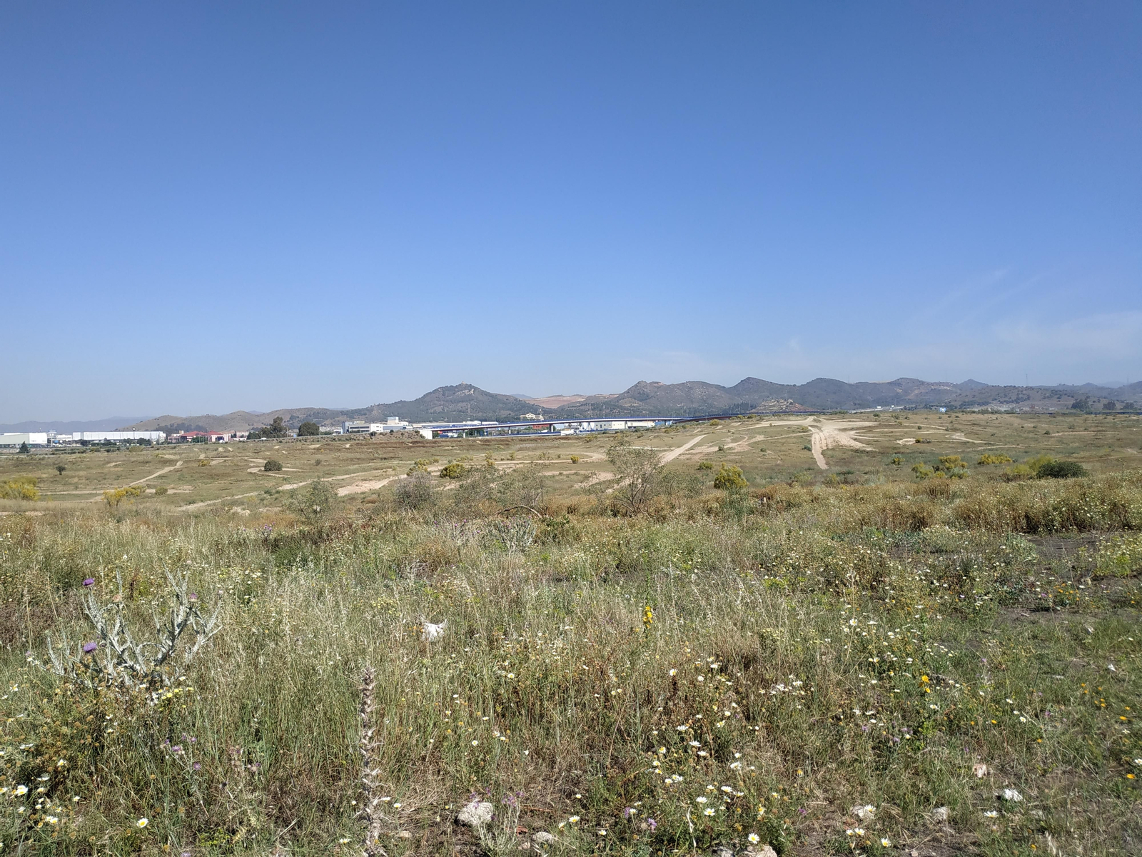 Vista de parte de los terrenos que el alcalde quiere para la exposición internacional. Vista de parte de los terrenos que el alcalde quiere para la exposición internacional.