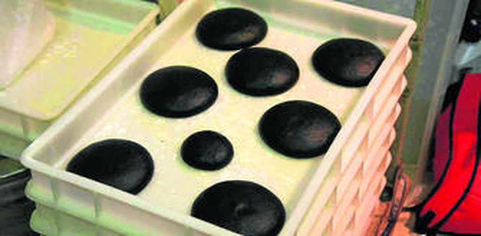 Masa de la pizza negra.