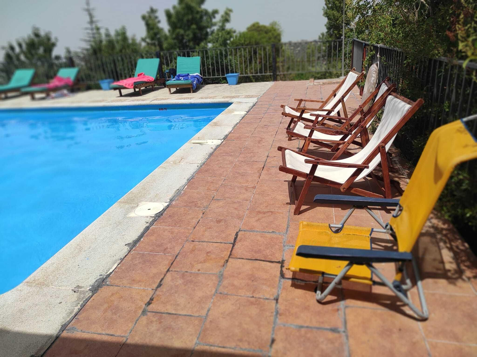 Tumbonas, sillas, sofás, zona de césped con bancos... la piscina está dotada de todo para que disfrutes al sol y a la sombra.