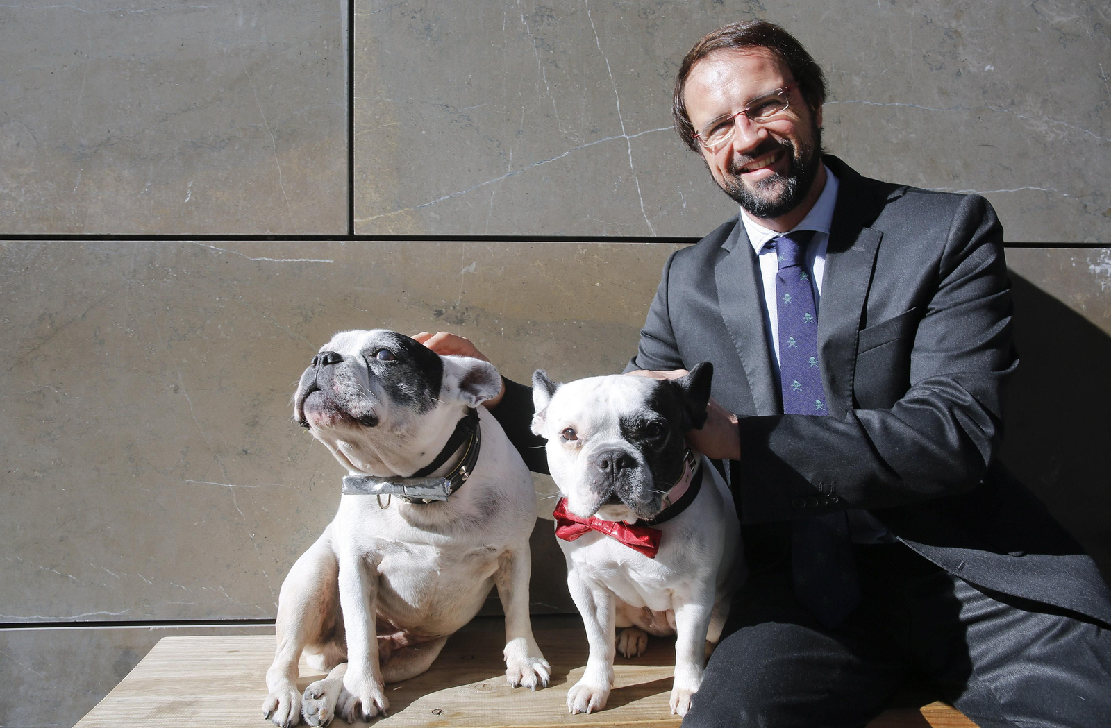 El abogado con dos perros de una viandante.