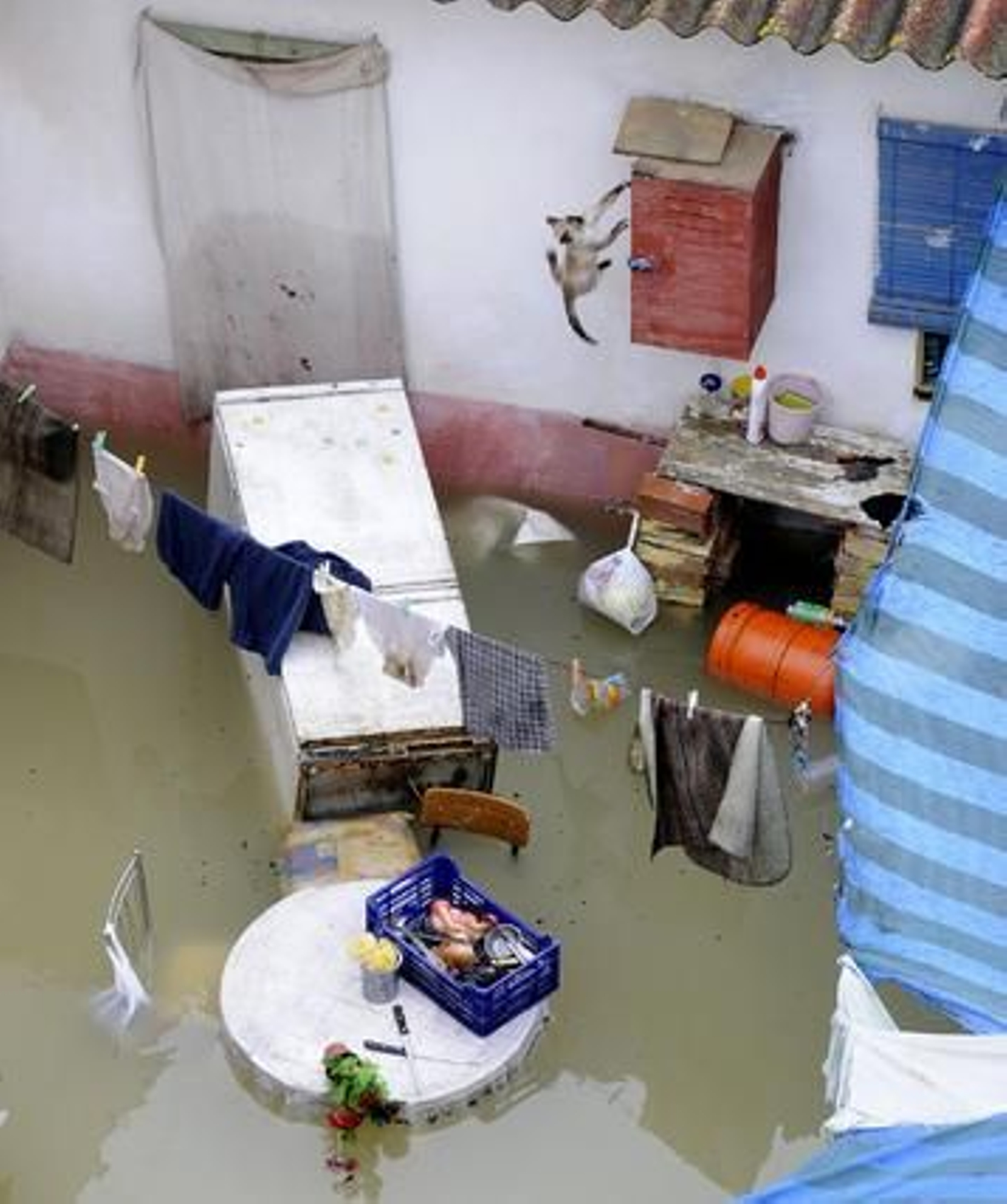 Un patio de Tocina totalmente inundado; el agua cubre los muebles y ha tirado enseres y electrodomésticos. 

Foto: Juan Carlos Vázquez