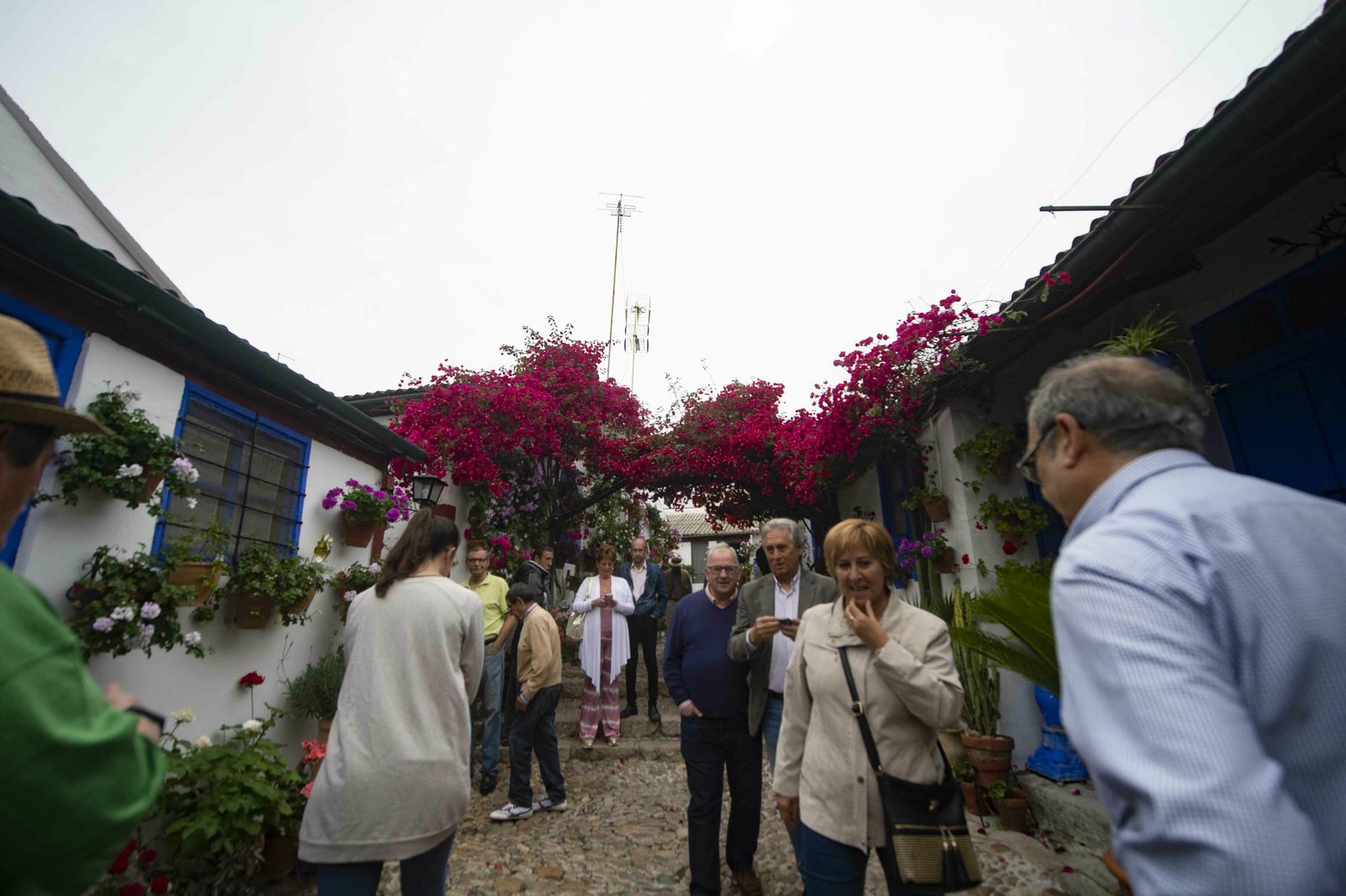 En imágenes: la ruta de los Patios Santa Marina-San Agustín