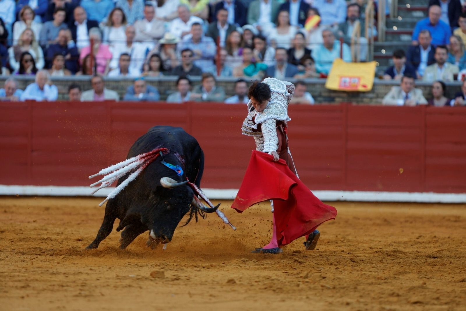 Las mejores fotos de la corrida de Morante, Ortega y Roca Rey en la Feria Taurina de Córdoba