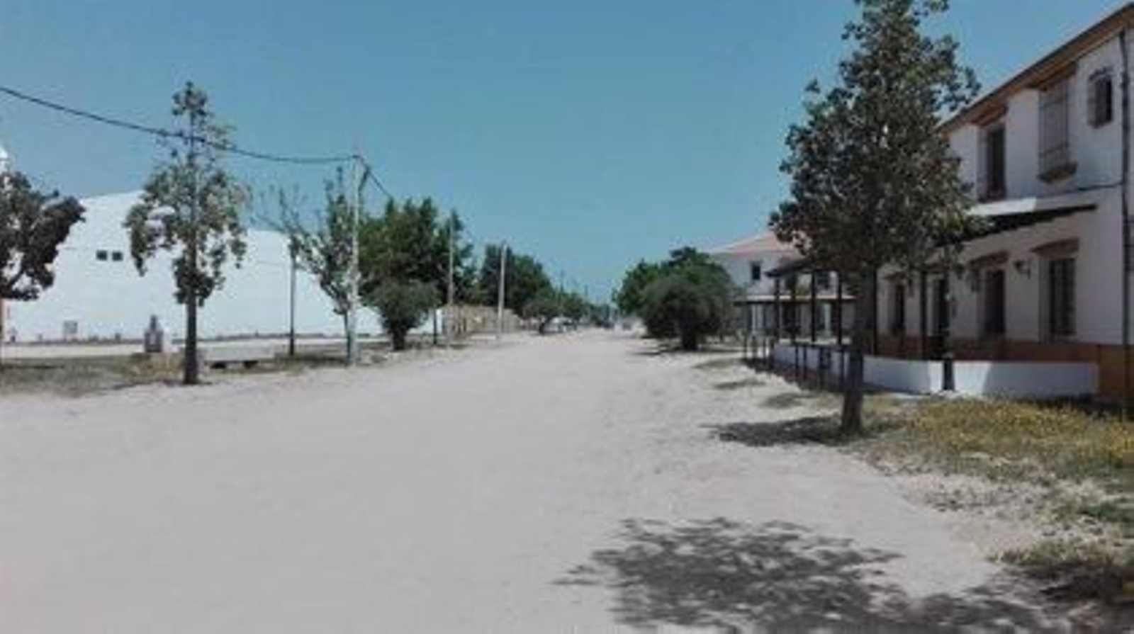 Confirman la condena por maltrato animal por alquilar mulas con lesiones para El Rocío