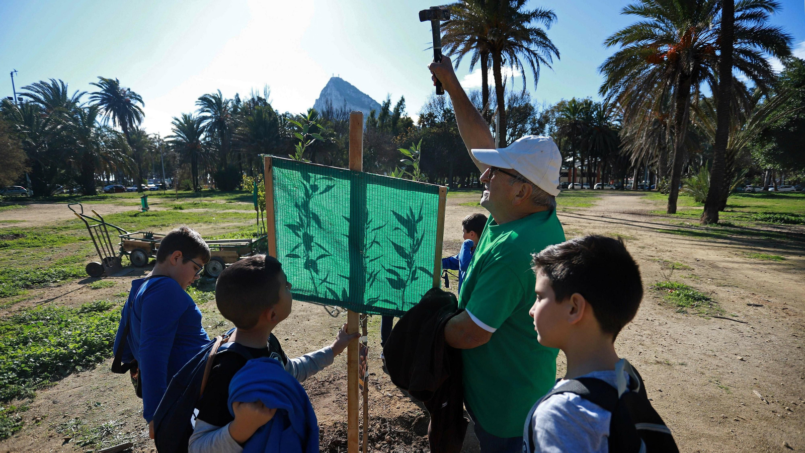 Las mejores fotos de la repoblación del Parque Princesa Sofía