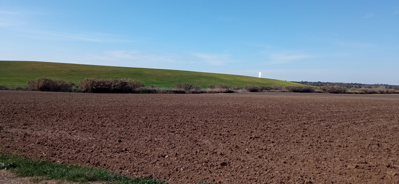 Las imágenes de la ruta de la dehesa de Albaida del Aljarafe