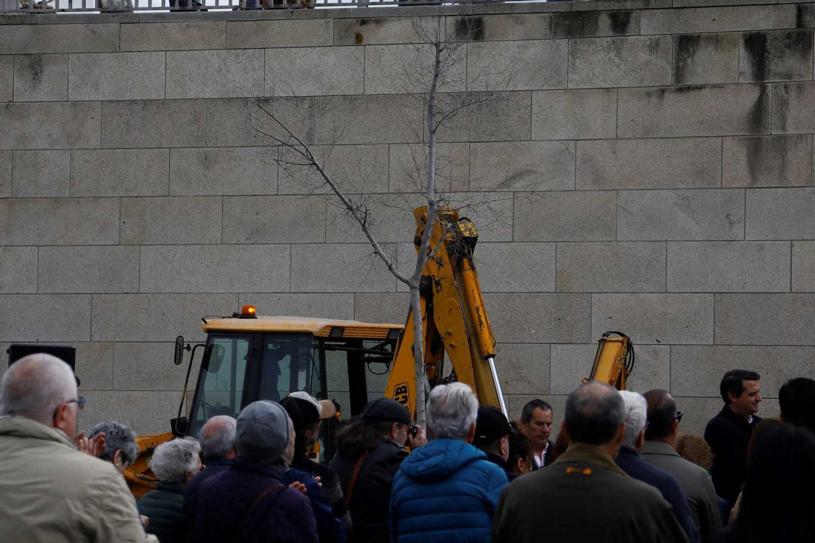 El árbol que siempre recordará a Pepe Larios en Córdoba, en imágenes