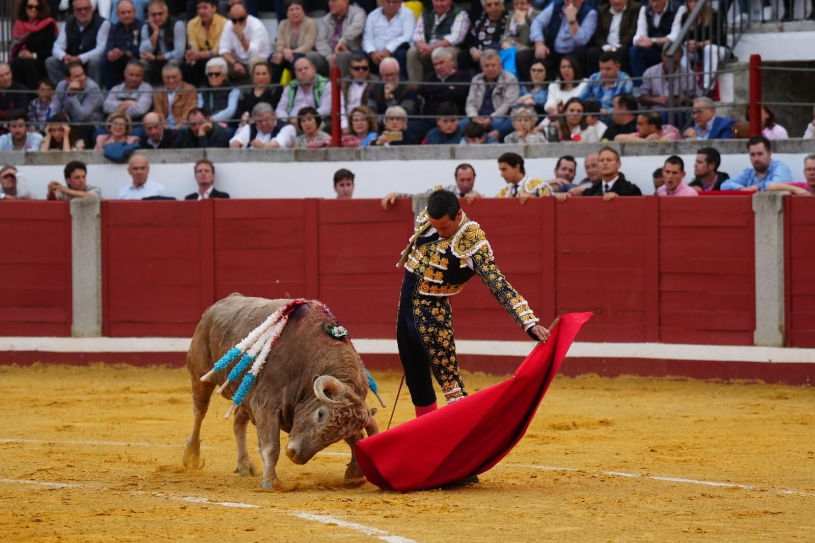 La corrida triunfal de Castella, Manzanares y Roca Rey en Pozoblanco, en imágenes