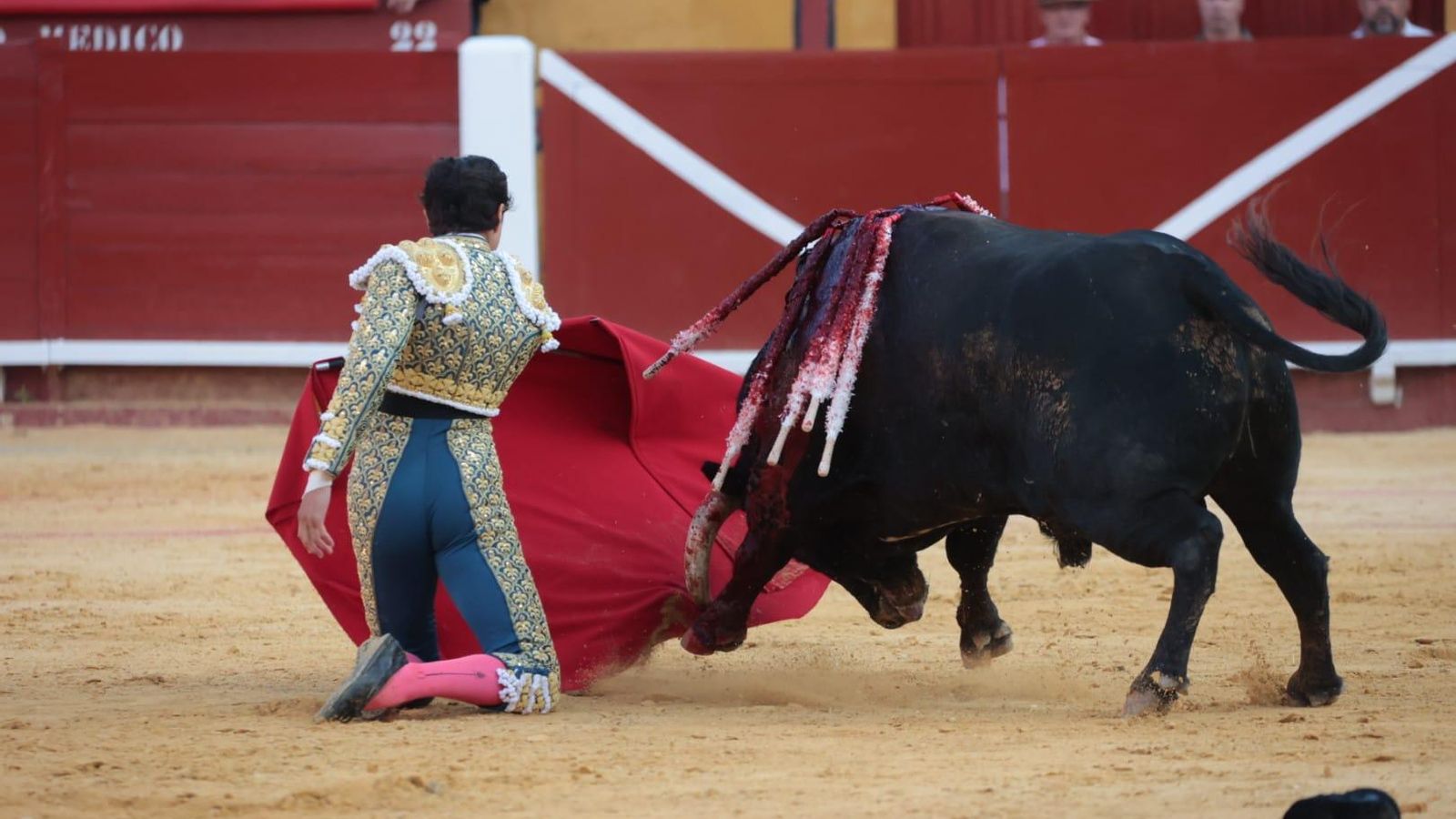 Roca Rey, de rodillas y en el mismo anillo de Las Palomas.