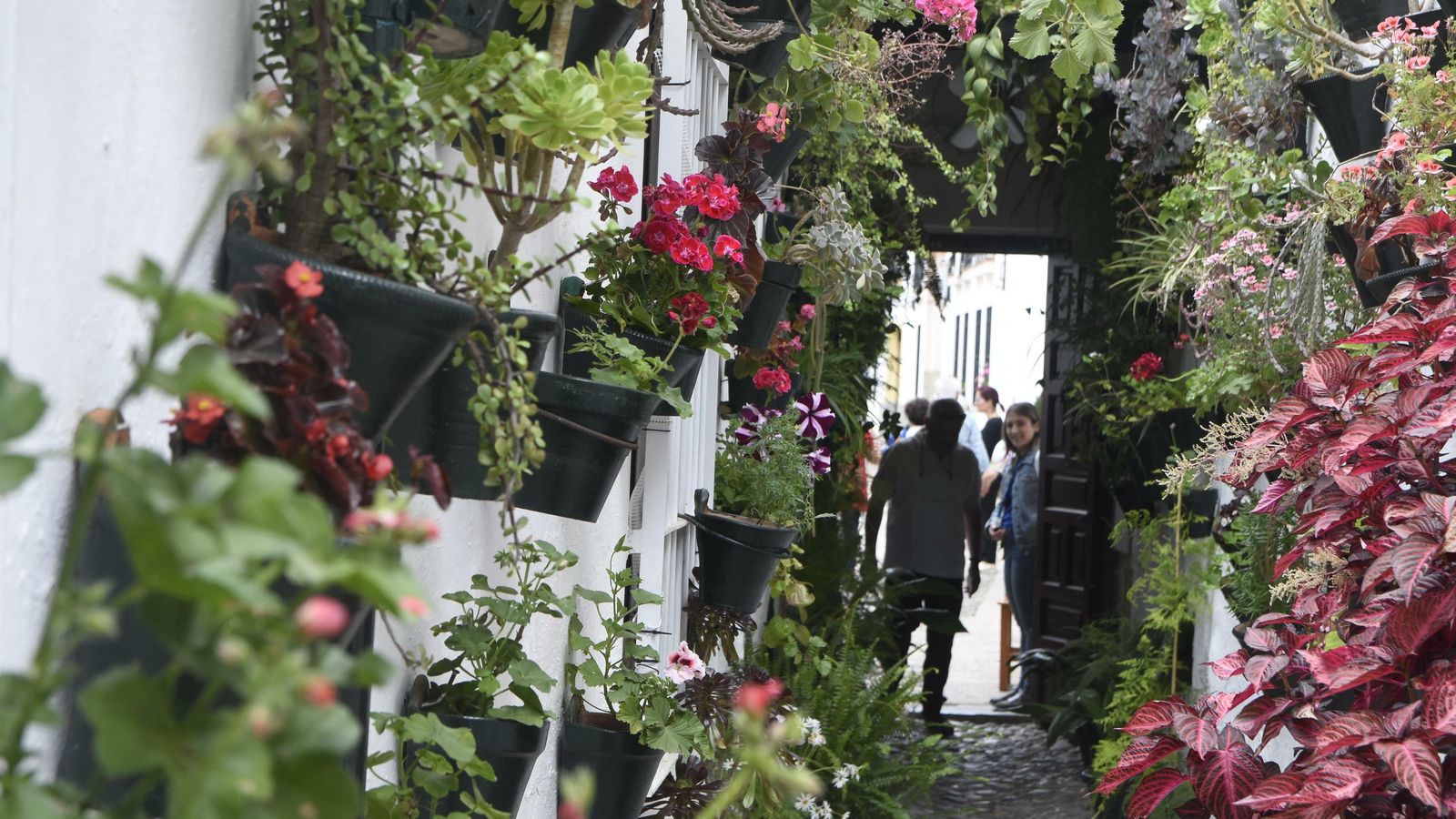 Patio de Pozanco, 21