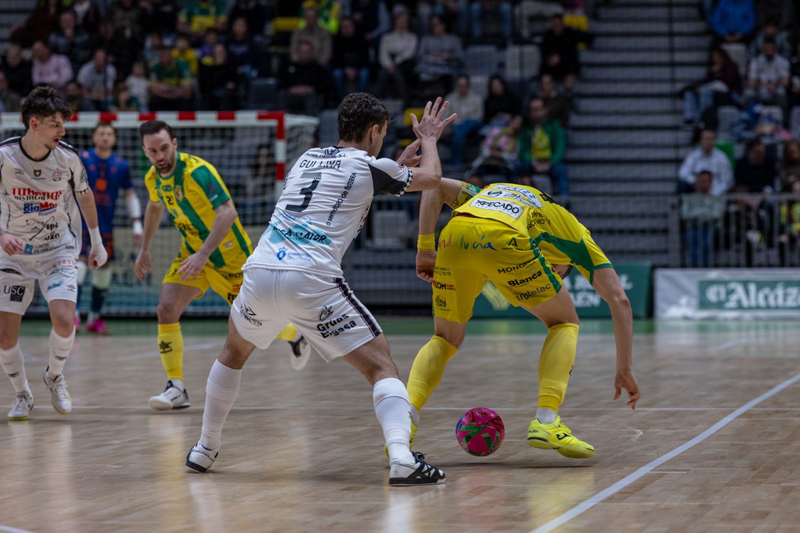 Las mejores imágenes de las tablas entre Jaén Paraíso Interior FS y Noia Portus Apostoli