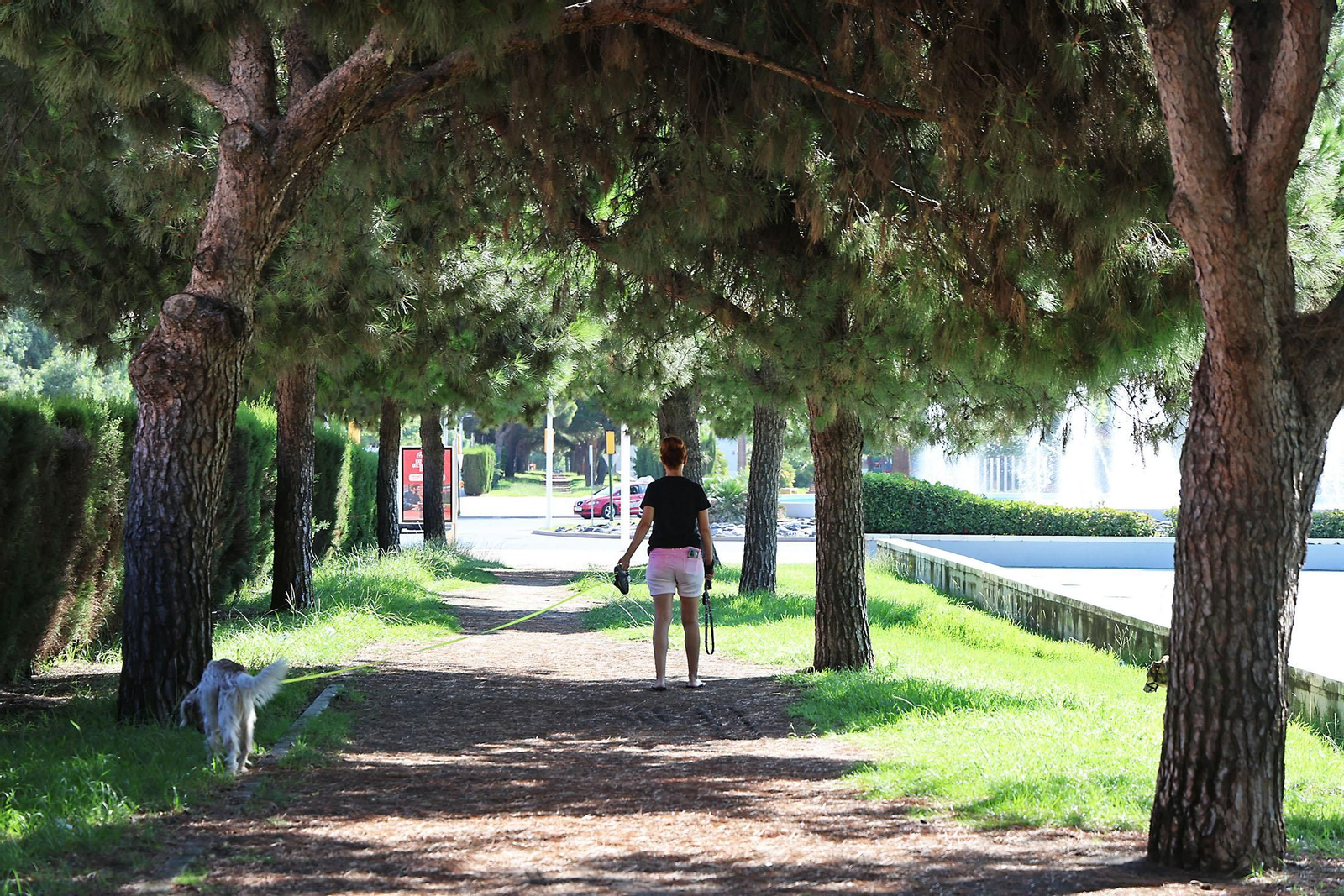 Imágenes de la Avenida de Andalucía en las mañanas de verano