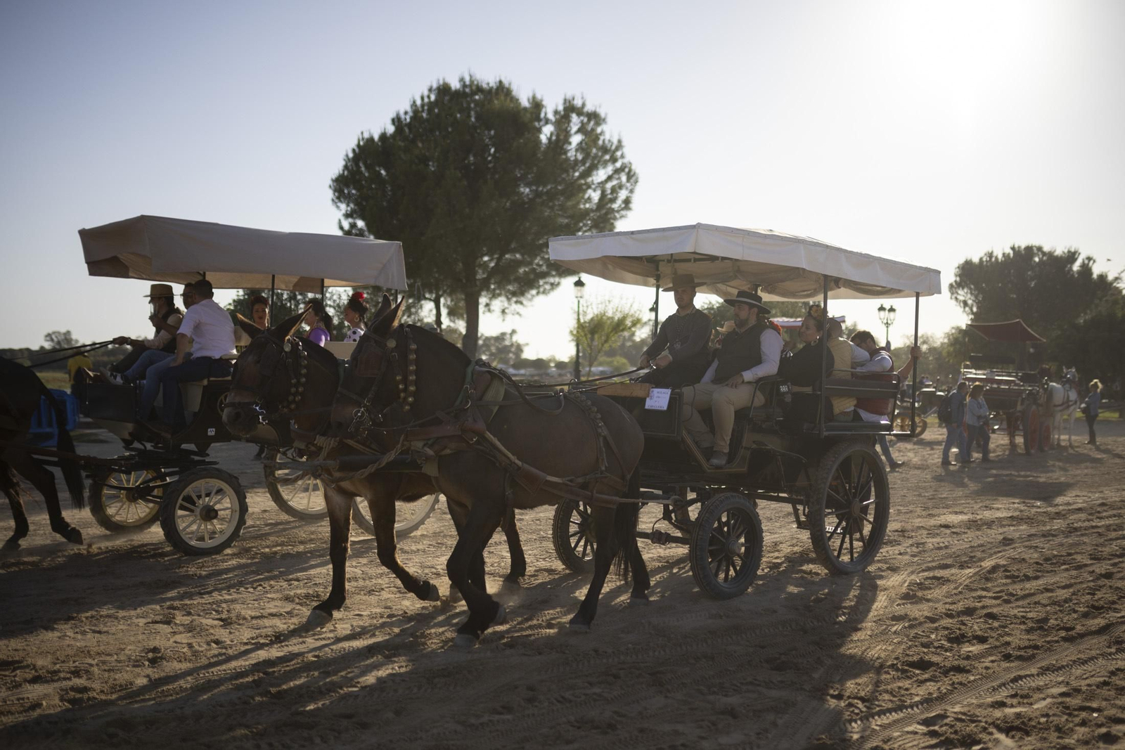 Imágenes de las primeras presentaciones de las hermandades de El Rocío 2024