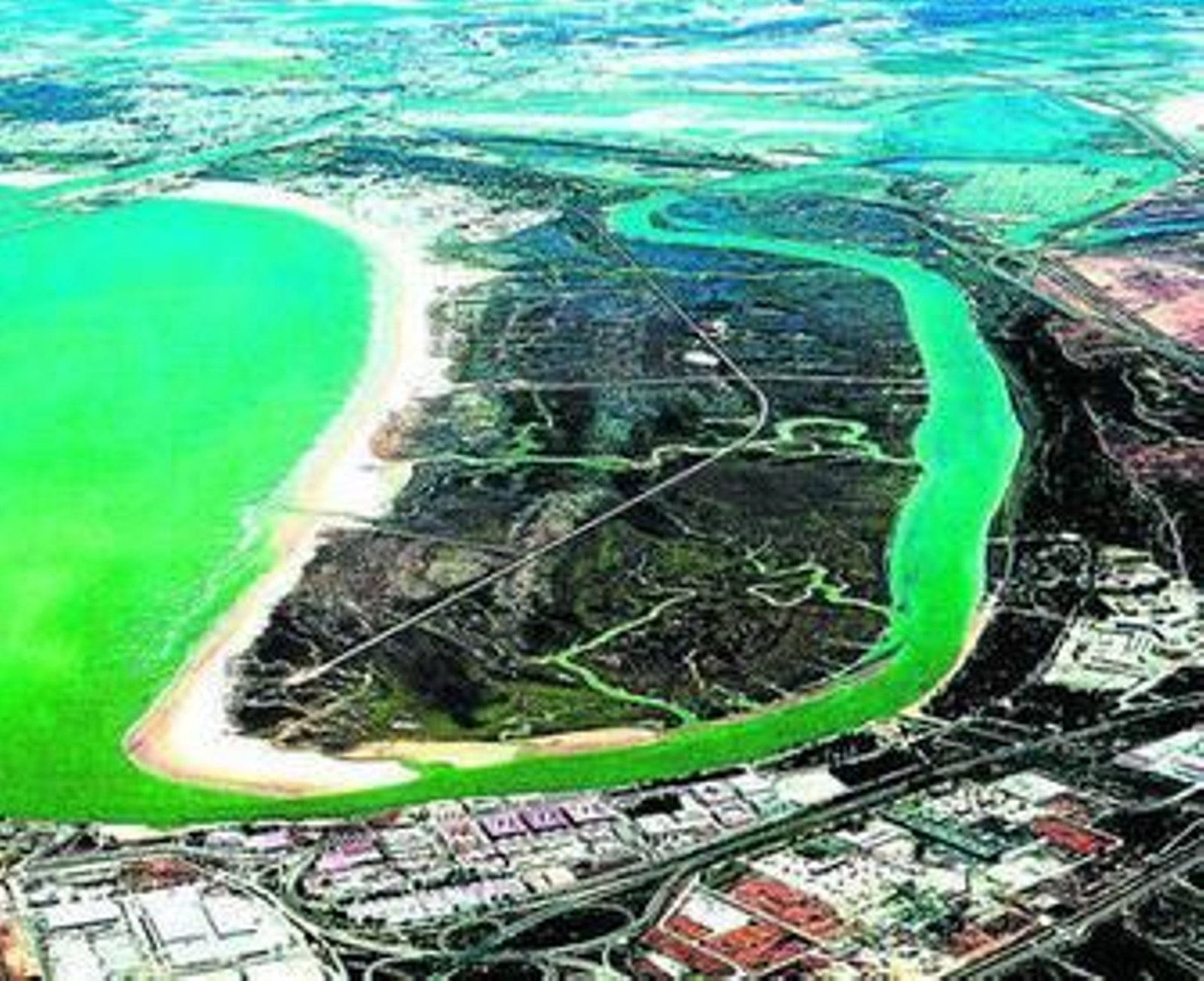 Una vista aérea del Parque Metropolitano de Los Toruños y Pinar de La Algaida.