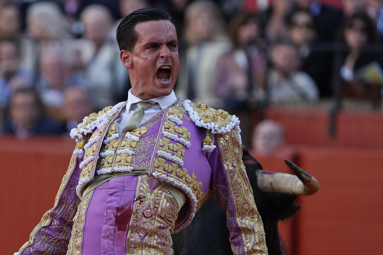 Las Imágenes del festejo