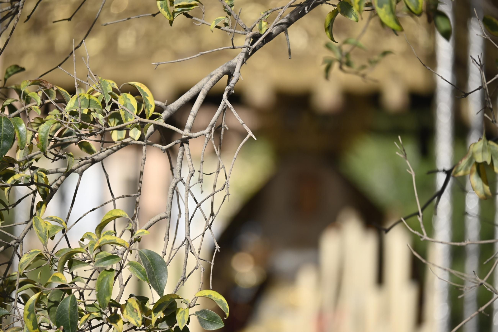 Extraordinaria de la Virgen del Valle de Huelva en imágenes