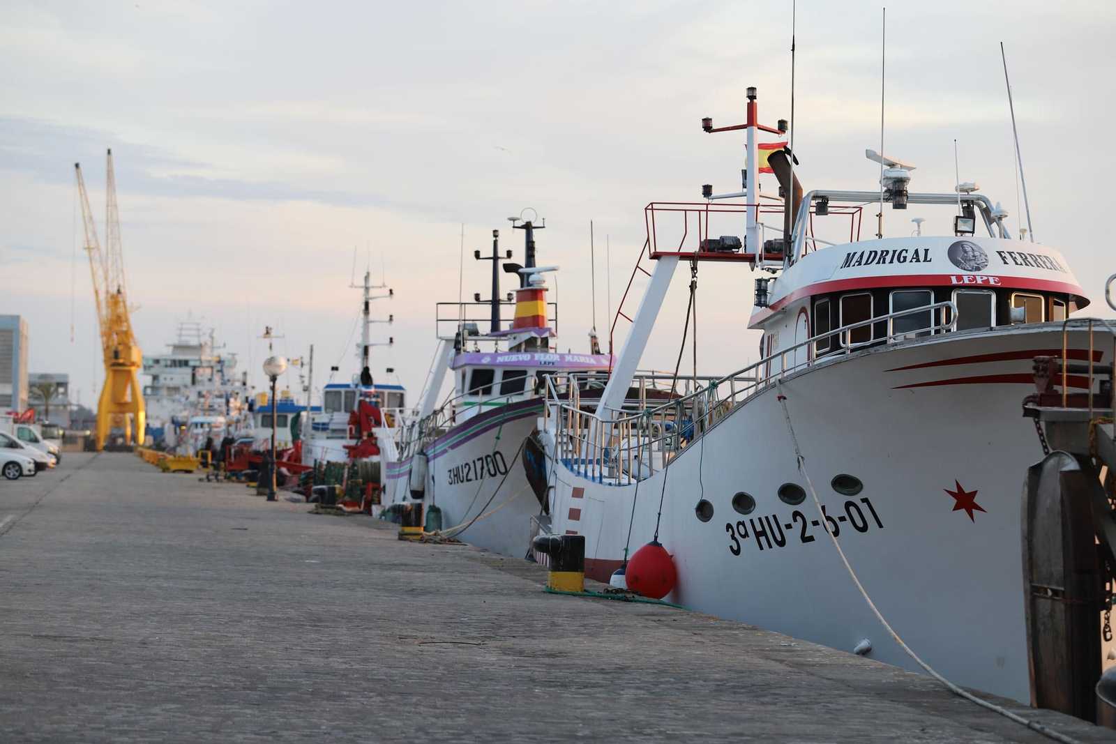 Buques pesqueros en el Muelle de Levante.