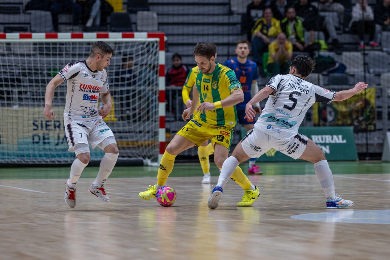 Las mejores imágenes de las tablas entre Jaén Paraíso Interior FS y Noia Portus Apostoli