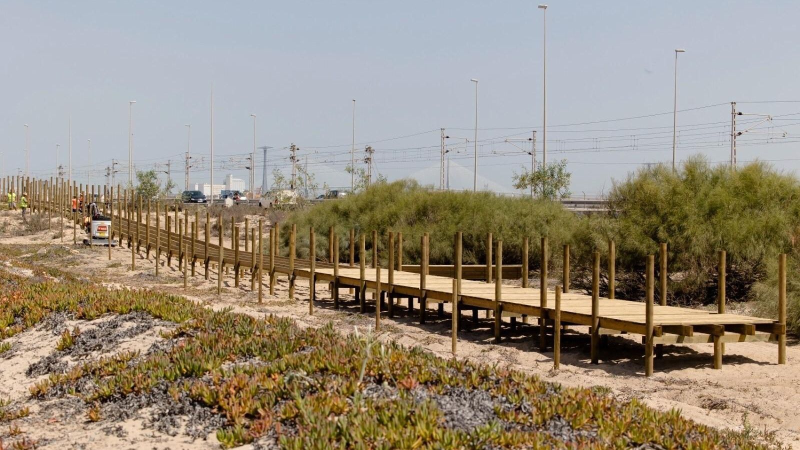 Obras del Eurovelo en las dunas de Cortadura.