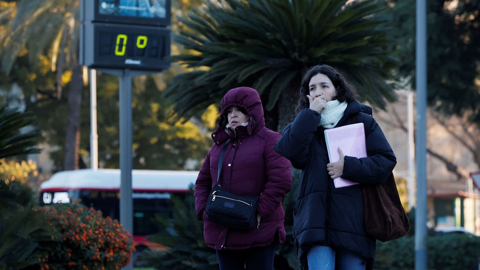 Un día de frío en Sevilla