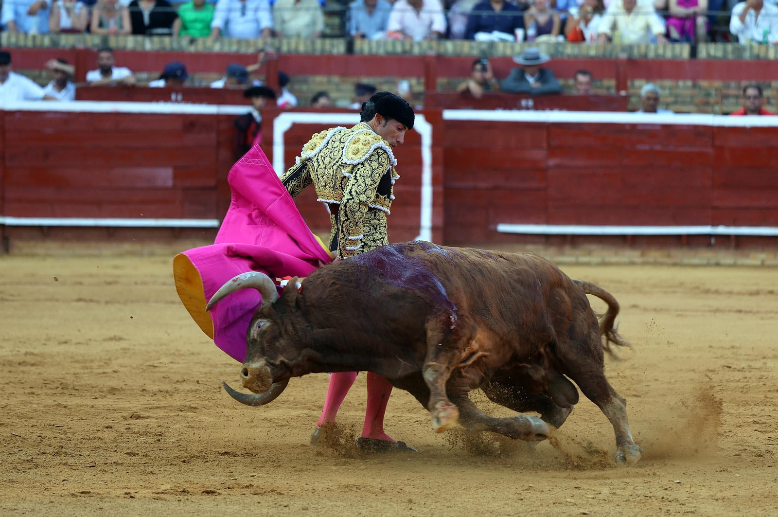 Toros La Merced 2025: Imágenes de la corrida de David de Miranda, Marco Pérez y Borja Jiménez