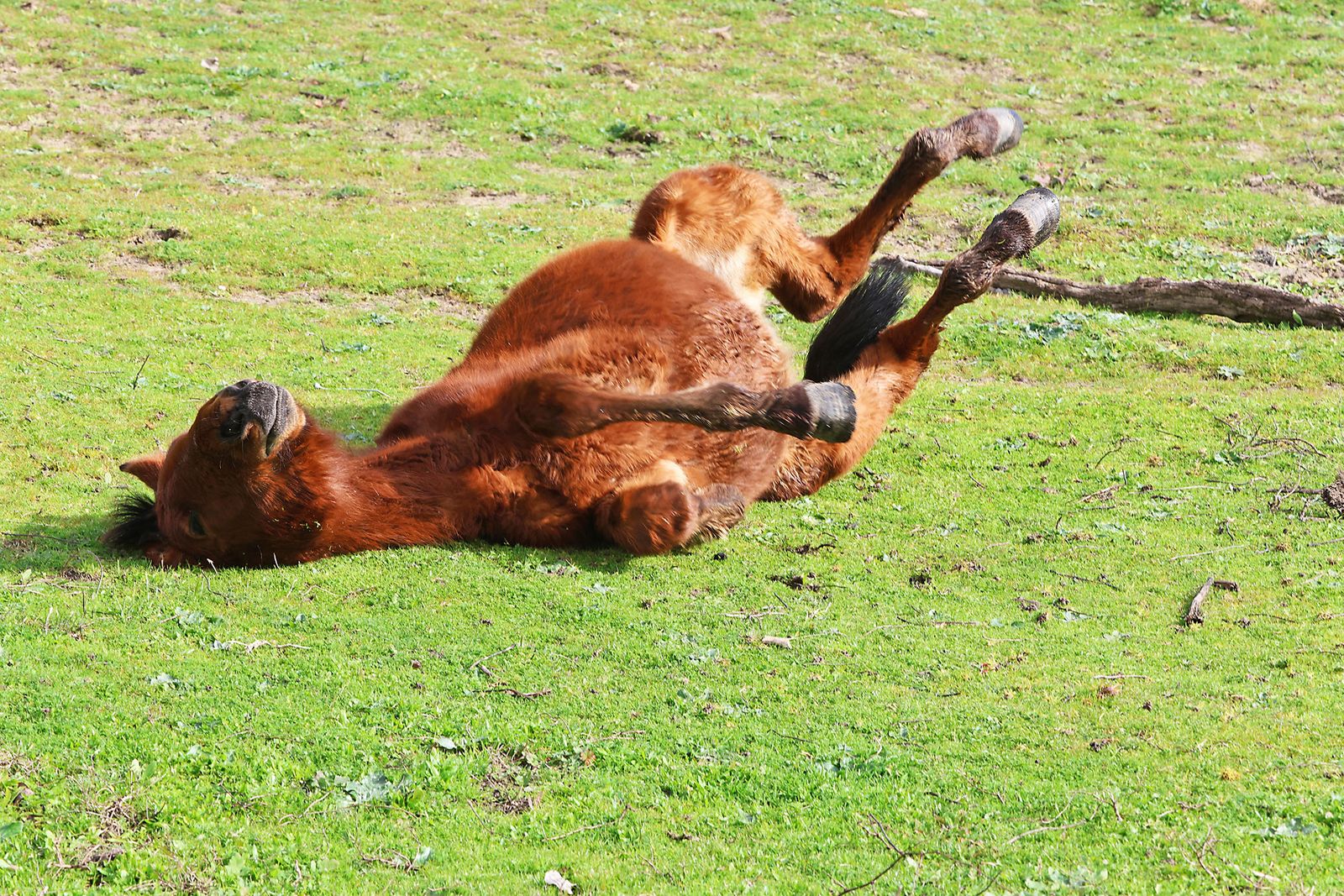 Estado actual en el que se encuentran las Marismas del Rocío tras las últimas lluvias