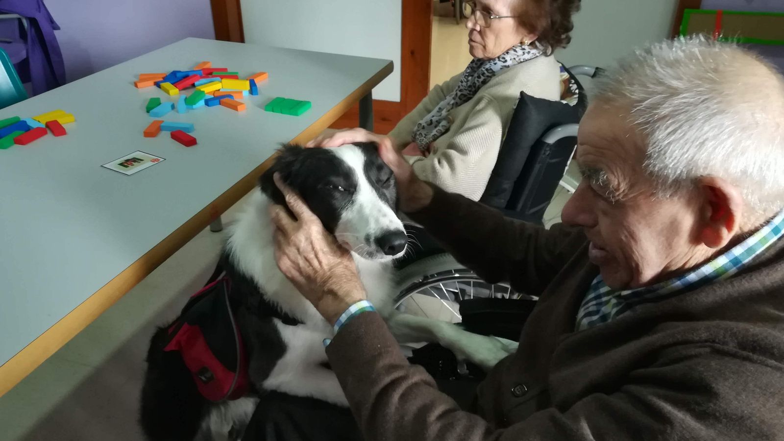 Terapias con animales en la residencia de mayores Alconchel de Mairena del Alcor.