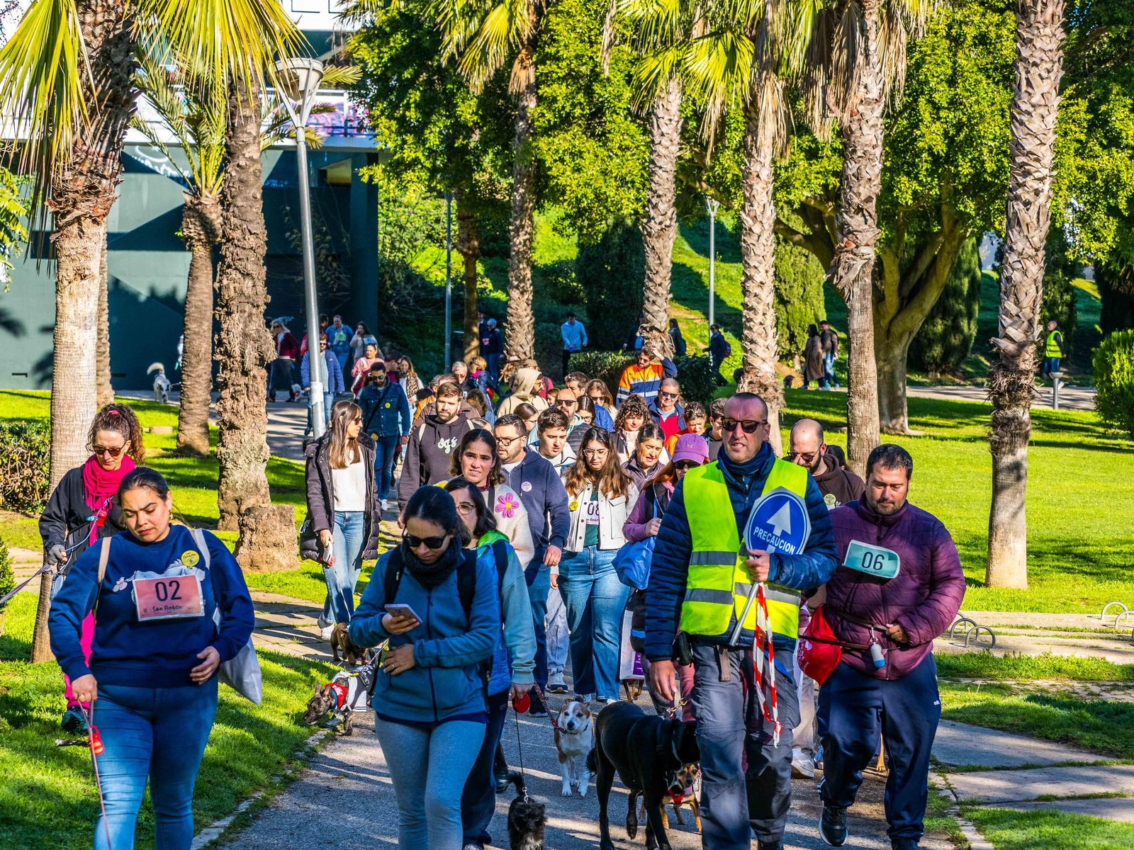 Las imágenes de San Antón 2025 en San Fernando
