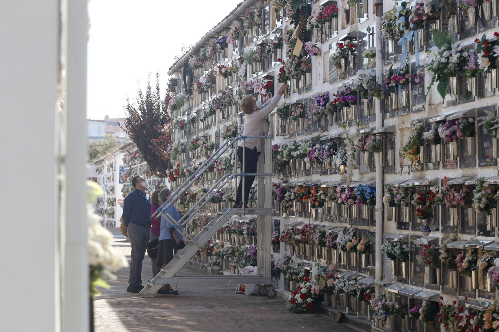las fotos del día de Todos los Santos