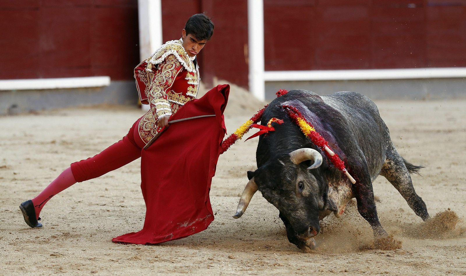 Francisco de Manuel en unos doblones a su primer novillo.