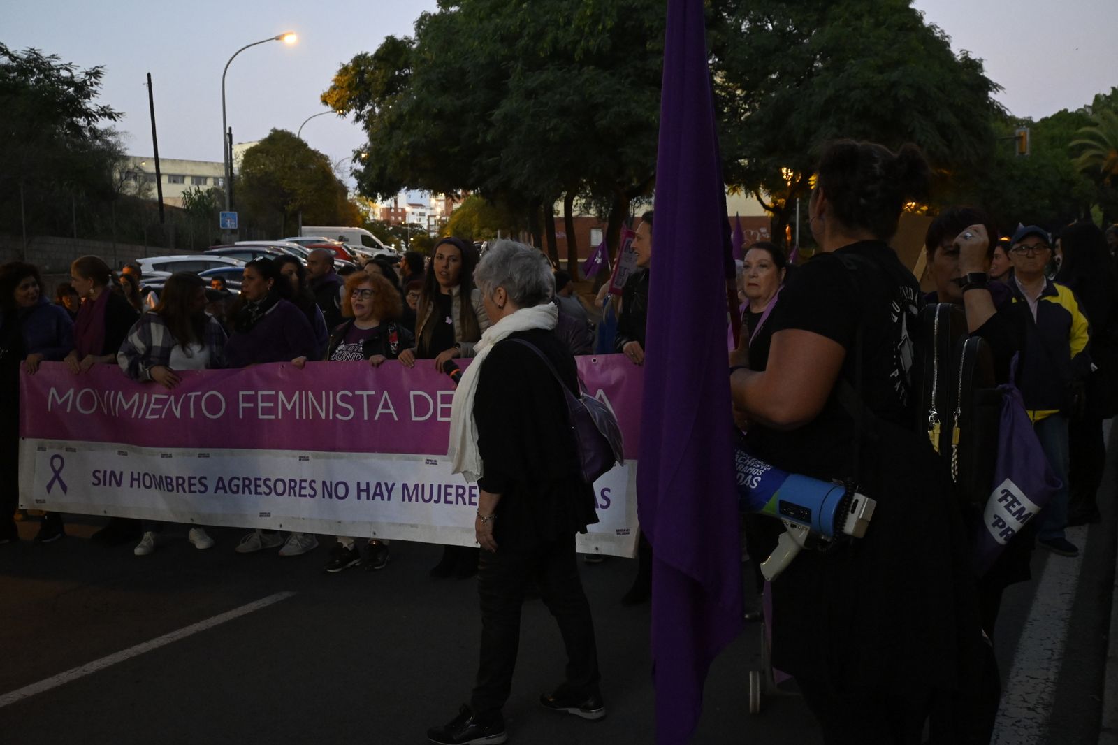 Manifestación del 25N en Imágenes.