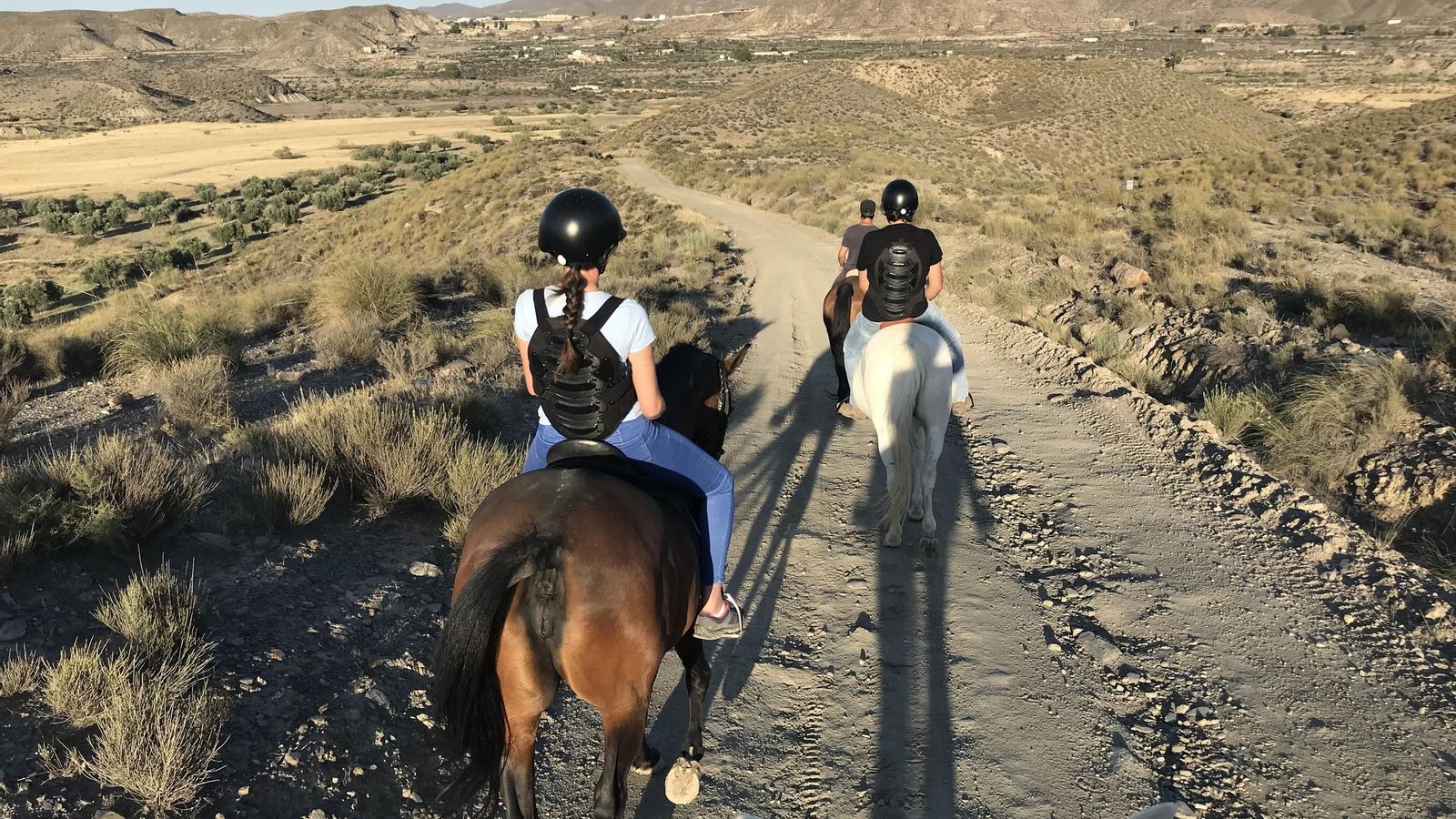 Paseo en caballo por el Desierto de Tabernas.