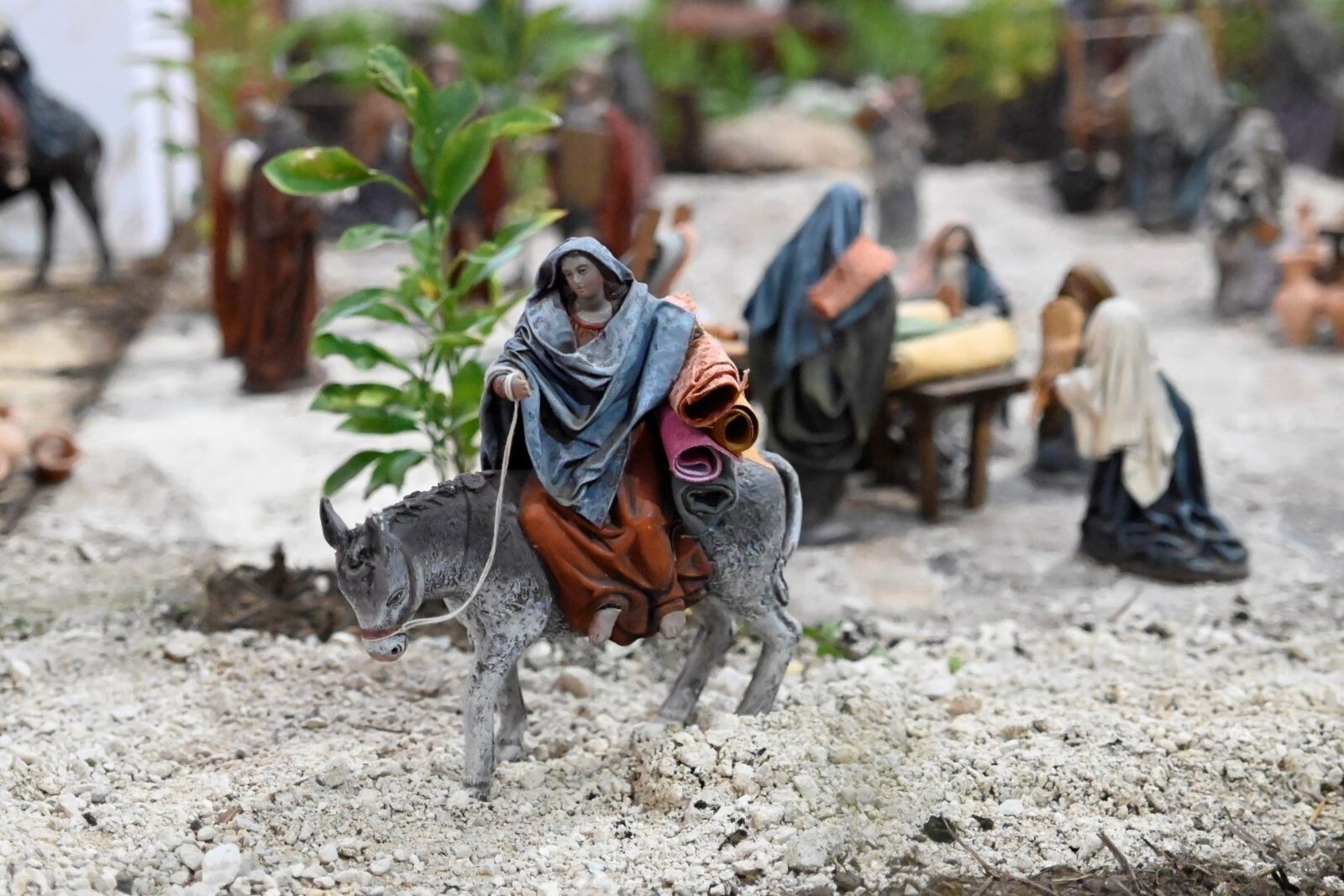 El belén del Jardín Botánico de Córdoba, en imágenes