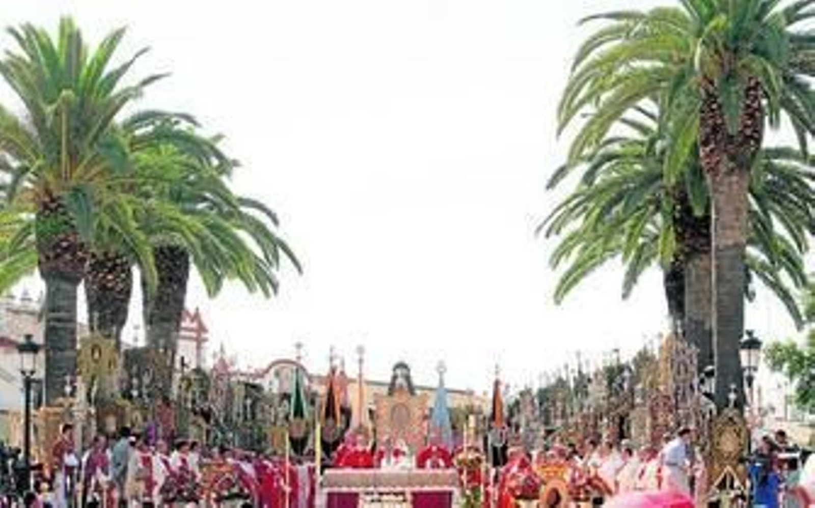 1. Vista general del altar mayor de la Misa de Pentecostés en El Real de la aldea almonteña, ante seis grandes palmeras. 2. El obispo de Huelva, José Vilaplana, se dirige a los fieles durante la homilía ante varios de los sacerdotes concelebrantes y parte de los simpecados de las hermandades filiales al fondo. 3. Los presidentes y hermanos mayores de las 108 hermandades pasaron por el altar para adherirse a la renovación del voto de fe católica poniendo su mano sobre el Libro de Regla de la hermandad Matriz. 4. Parte del público asistente, protegiéndose del sol con abanicos. 5. El hermano mayor de la Hermandad Matriz, Isidro Medina; el presidente, José Joaquín Gil; y el nuevo alcalde de Almonte, José Antonio Domínguez, durante la misa romera. 6. Componentes de la Escuela de Tamborileros de Almonte, camino del Santuario tras la celebración. 1. Vista general del altar mayor de la Misa de Pentecostés en El Real de la aldea almonteña, ante seis grandes palmeras. 2. El obispo de Huelva, José Vilaplana, se dirige a los fieles durante la homilía ante varios de los sacerdotes concelebrantes y parte de los simpecados de las hermandades filiales al fondo. 3. Los presidentes y hermanos mayores de las 108 hermandades pasaron por el altar para adherirse a la renovación del voto de fe católica poniendo su mano sobre el Libro de Regla de la hermandad Matriz. 4. Parte del público asistente, protegiéndose del sol con abanicos. 5. El hermano mayor de la Hermandad Matriz, Isidro Medina; el presidente, José Joaquín Gil; y el nuevo alcalde de Almonte, José Antonio Domínguez, durante la misa romera. 6. Componentes de la Escuela de Tamborileros de Almonte, camino del Santuario tras la celebración.