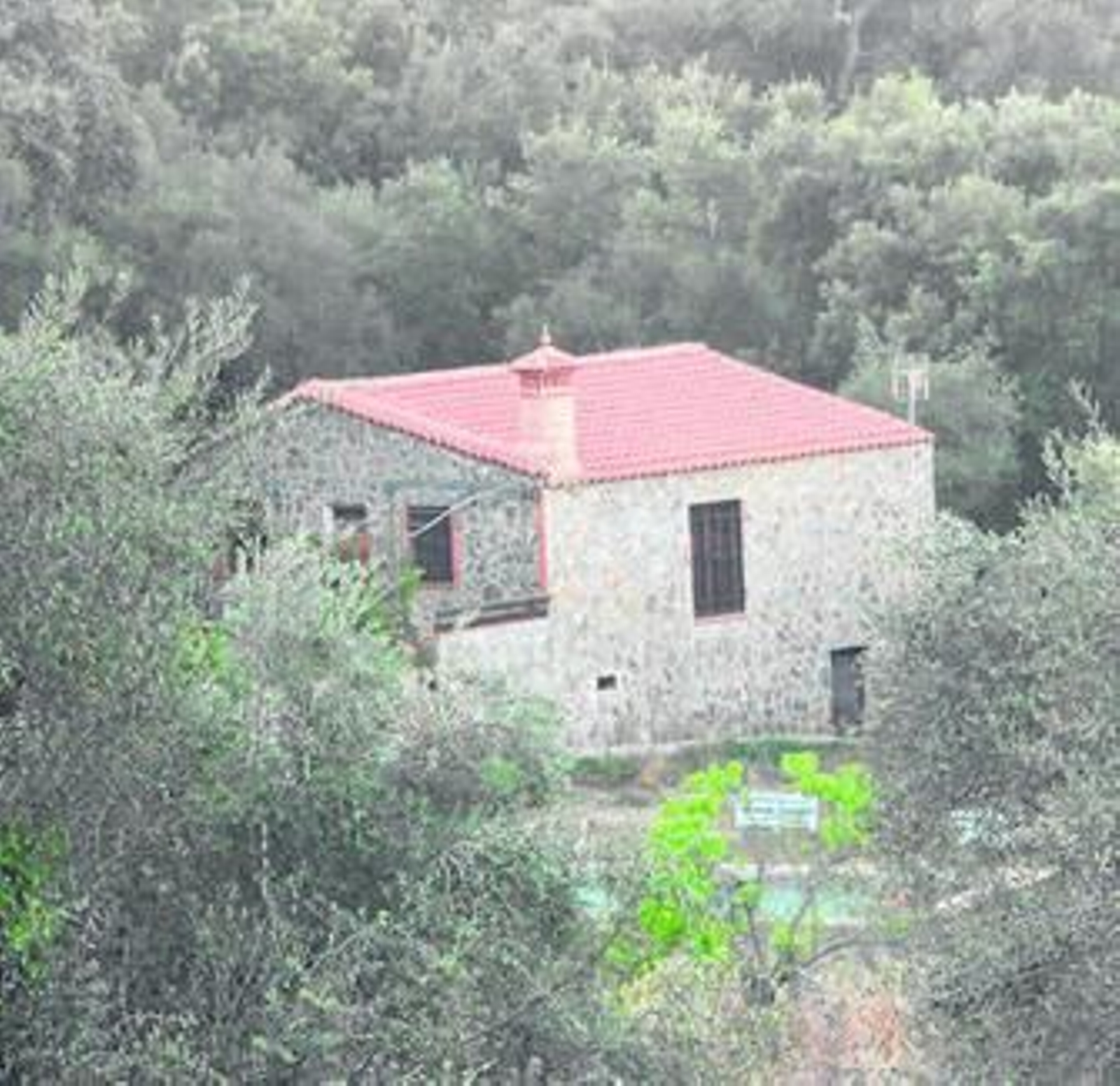 La vivienda y la piscina edificadas en suelo serrano no urbanizable.