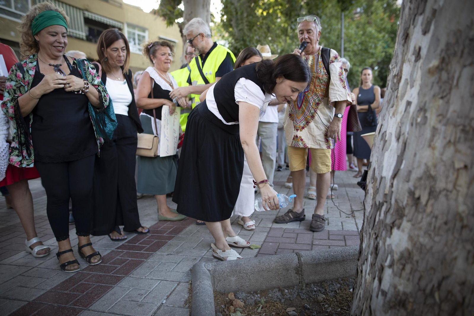 Vecinos de la Avenida de Cervantes de Granada amadrinan sus árboles para evitar la tala