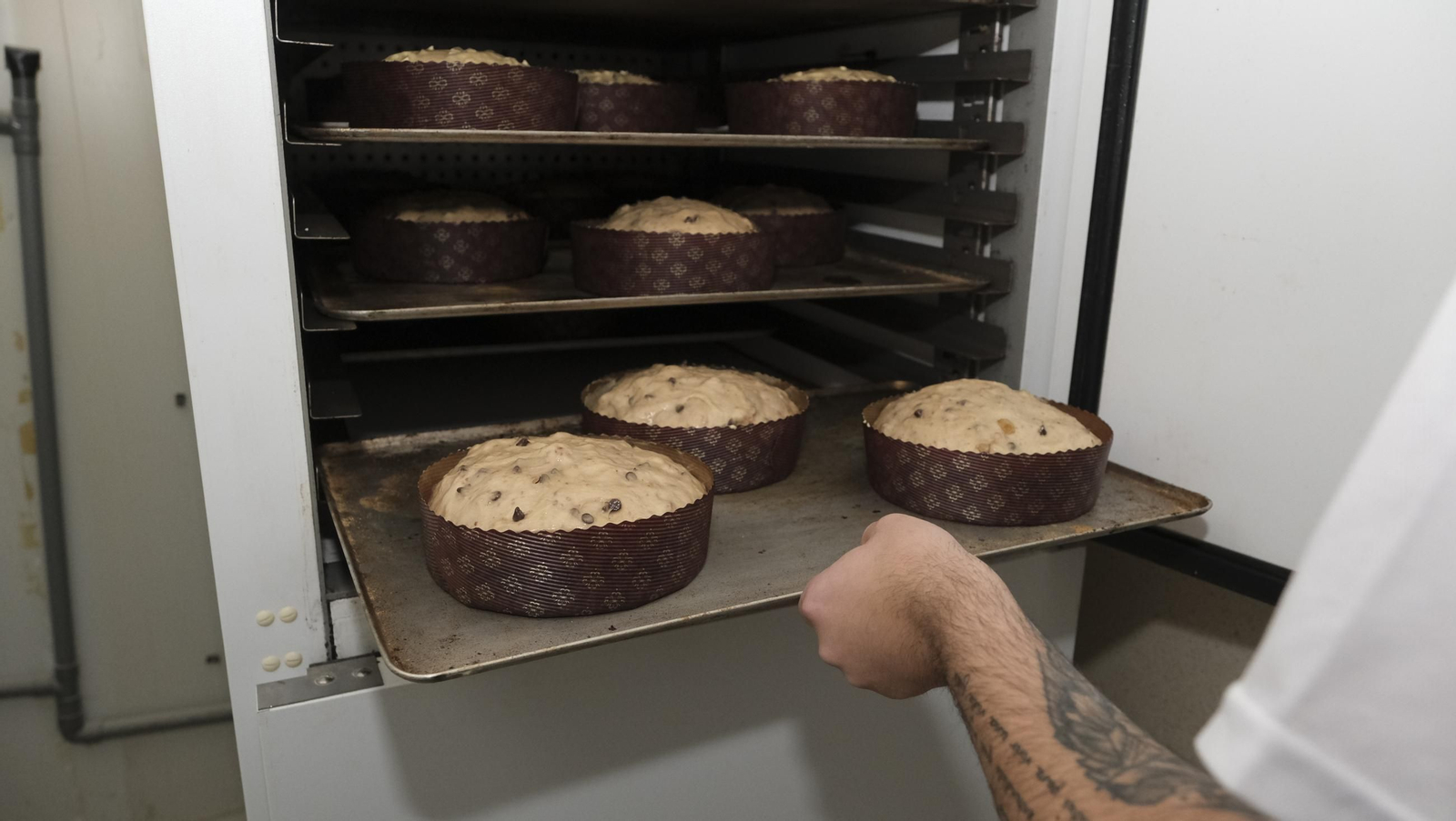 El 'mejor panetone', hecho en Alcolea, en imágenes